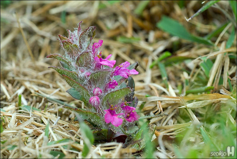DSCF3489.jpg