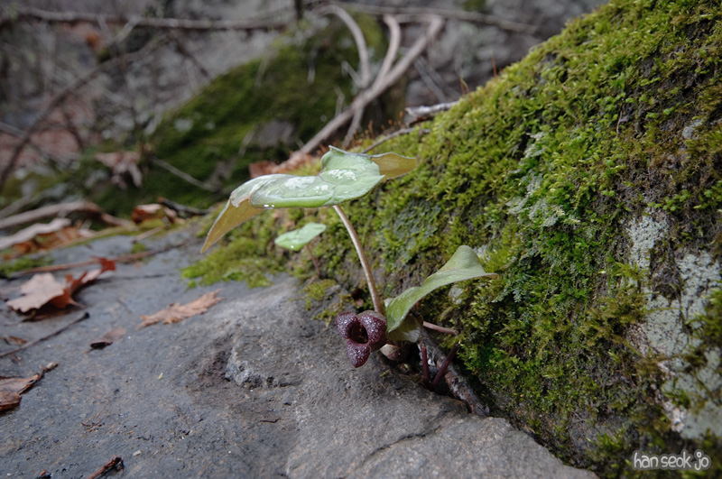 DSC_5480.jpg