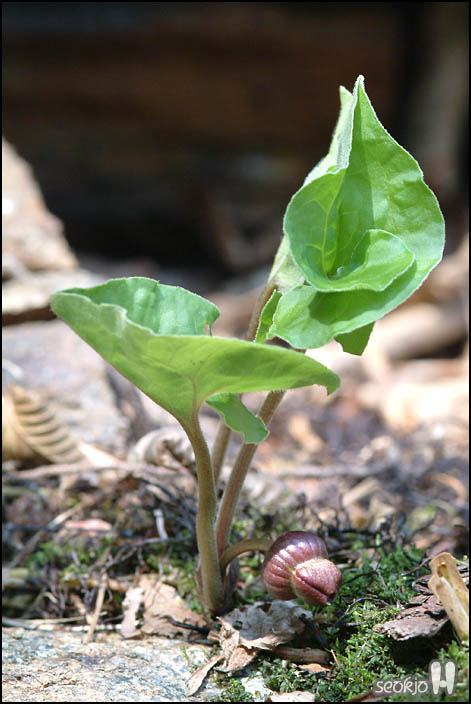 DSCF6162.jpg