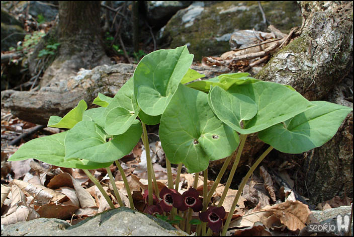 DSCF6163.jpg