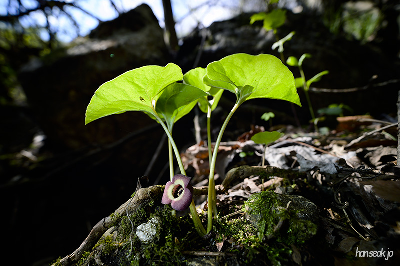 DSC_2191.jpg