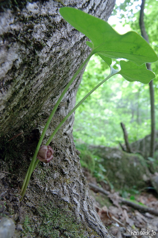 DSC_6362.jpg