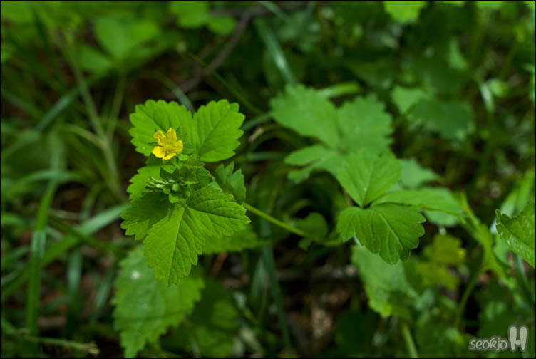 DSCF9207.jpg