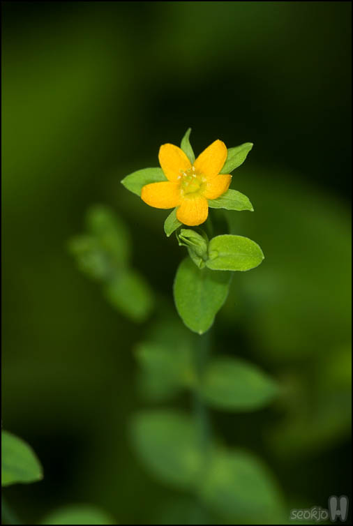 DSCF3055.jpg