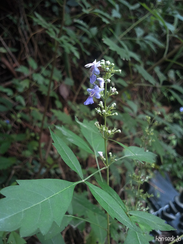 2011-09-10b.jpg