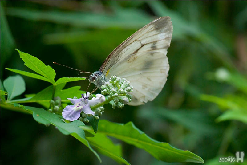 DSCF5150.jpg