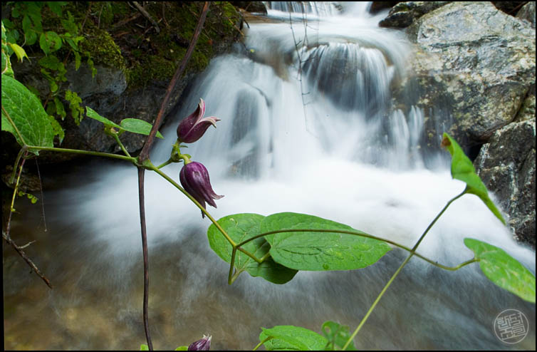 DSCF2385.jpg