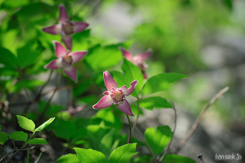 HSJ_0161.jpg