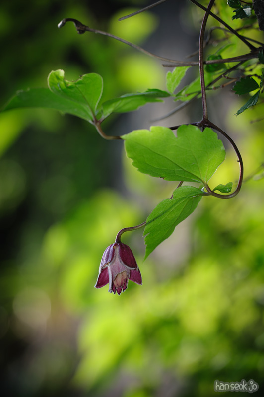 HSJ_0160.jpg