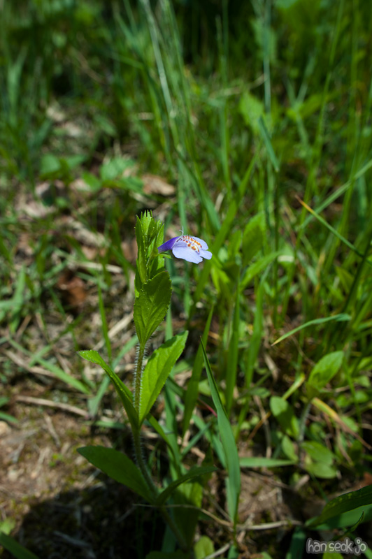 HSJ_8569.jpg