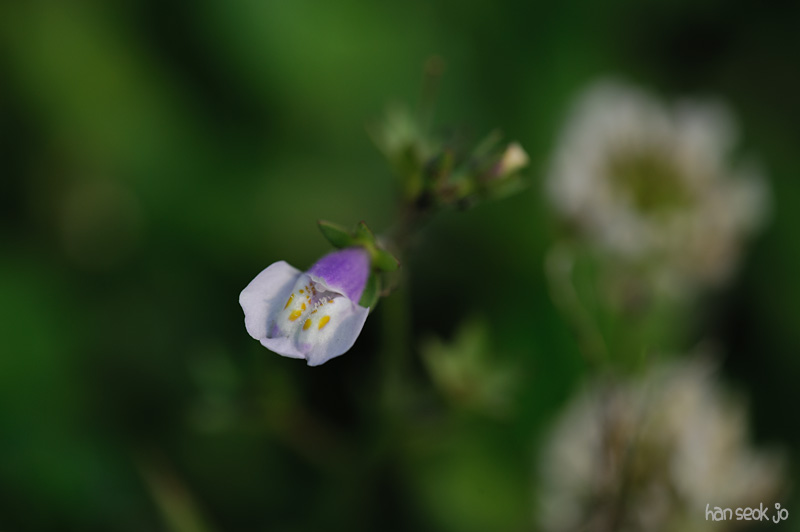 HSJ_3566.jpg