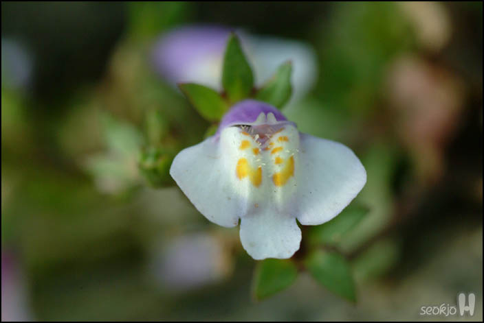 DSCF5971.jpg