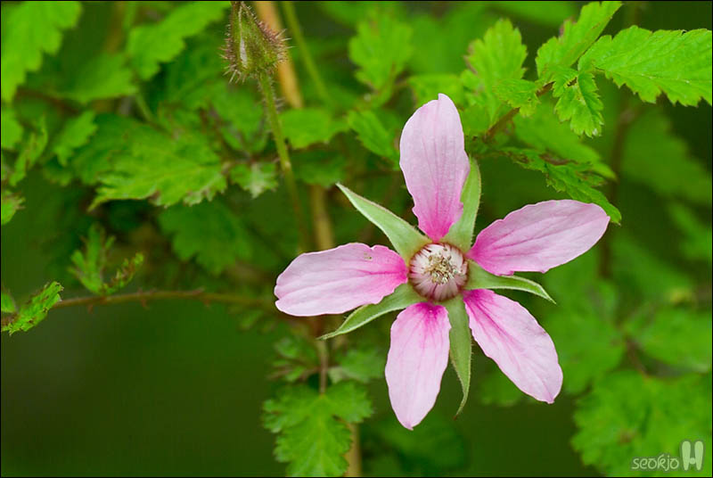 DSCF3491.jpg