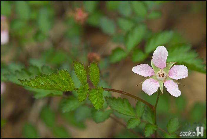 DSCF6273.jpg