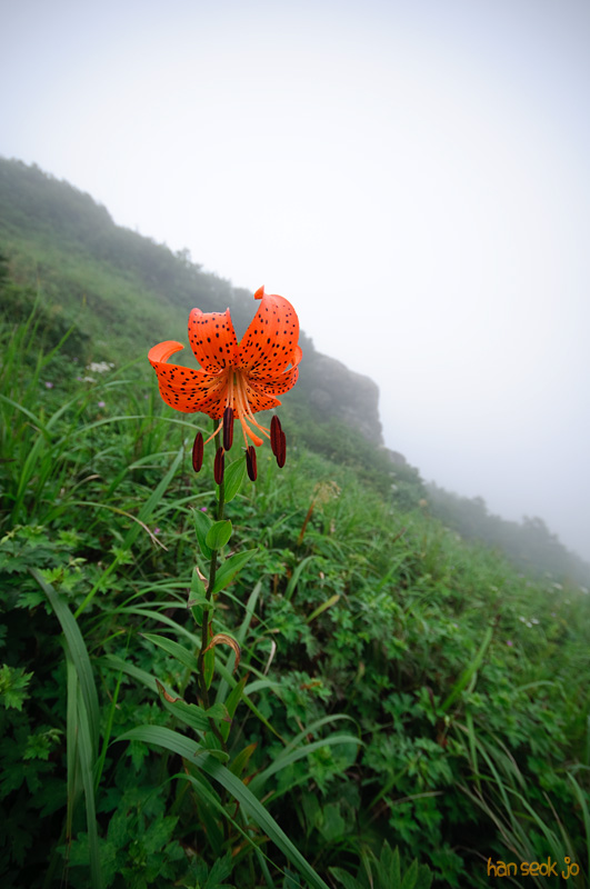 DSC_8012.jpg