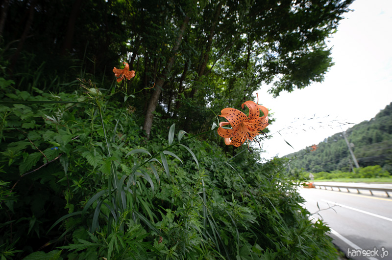 HSJ_0002.jpg