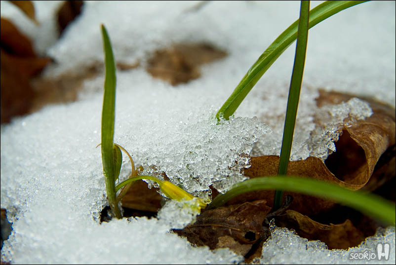 DSCF2930.jpg