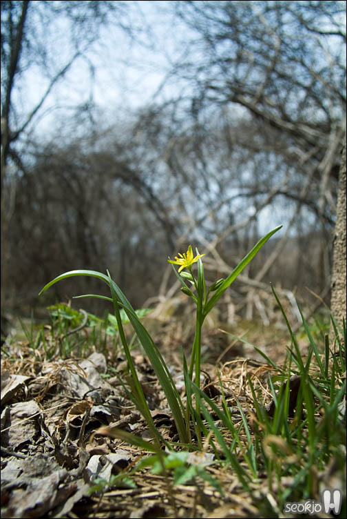 DSCF7055.jpg