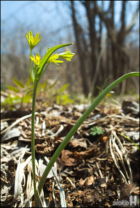 DSCF6090.jpg
