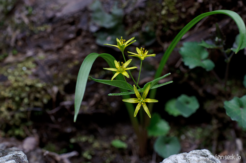DSC_1128.jpg