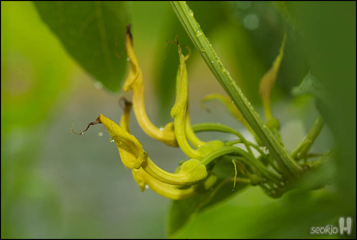 DSCF7290.jpg