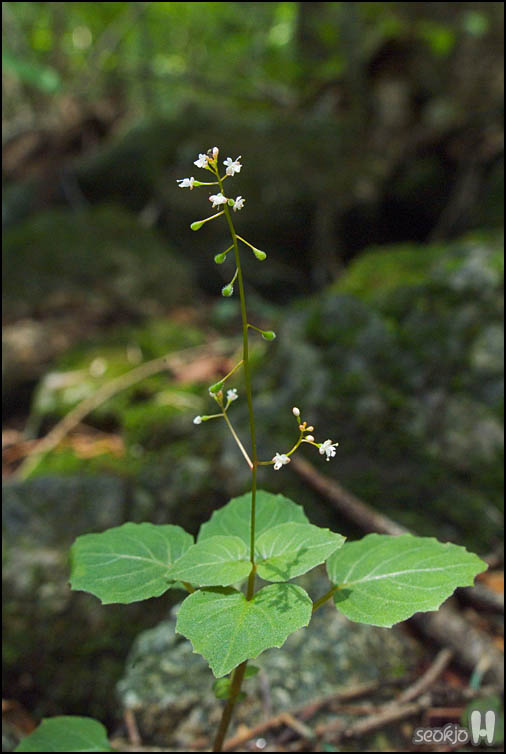 DSCF8125.jpg
