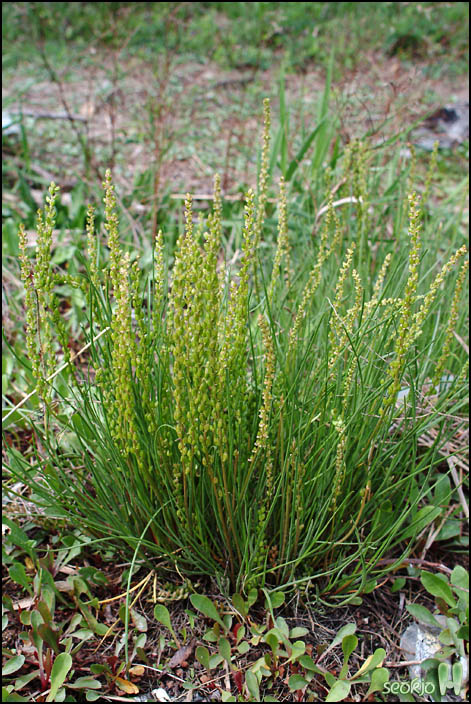 DSCF6776.jpg