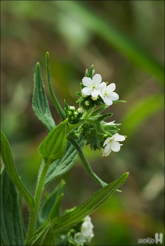 DSCF4014.jpg