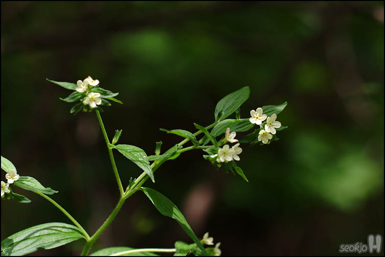 DSCF1394.jpg