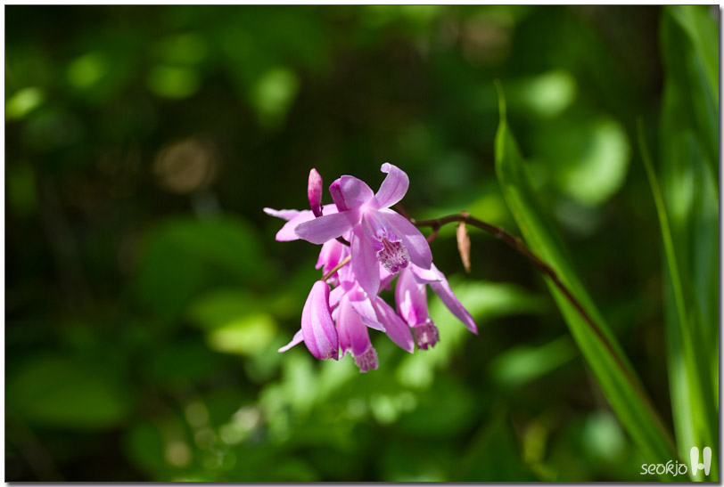 DSCF8141.jpg