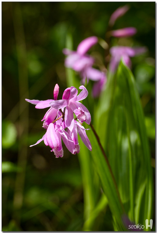 DSCF8142.jpg