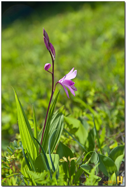 DSCF8253.jpg
