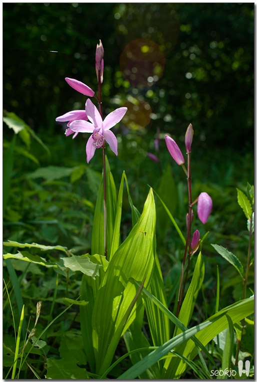 DSCF8257.jpg