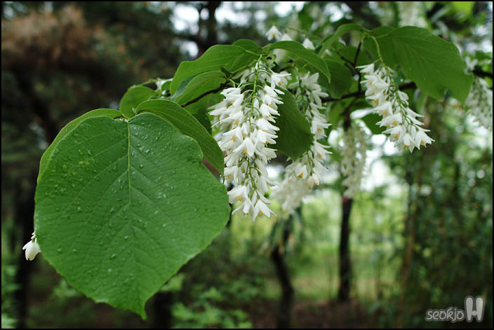 DSCF6745.jpg