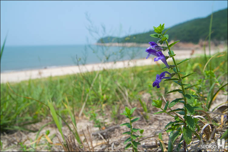 DSCF9721.jpg