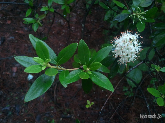 2011-07-12.jpg