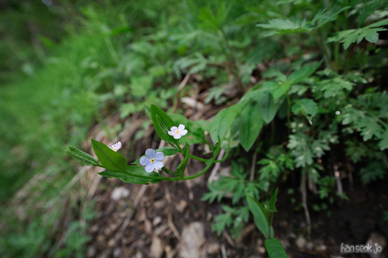 HSJ_8455.jpg
