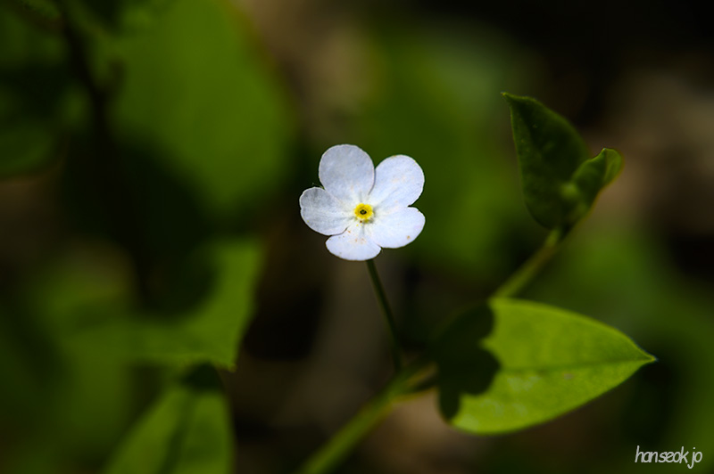 DSC_2642.jpg