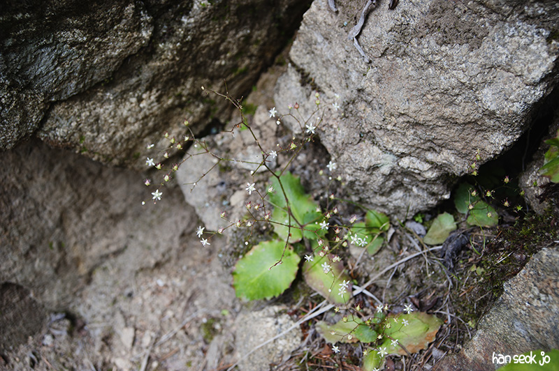 HSJ_4405.jpg