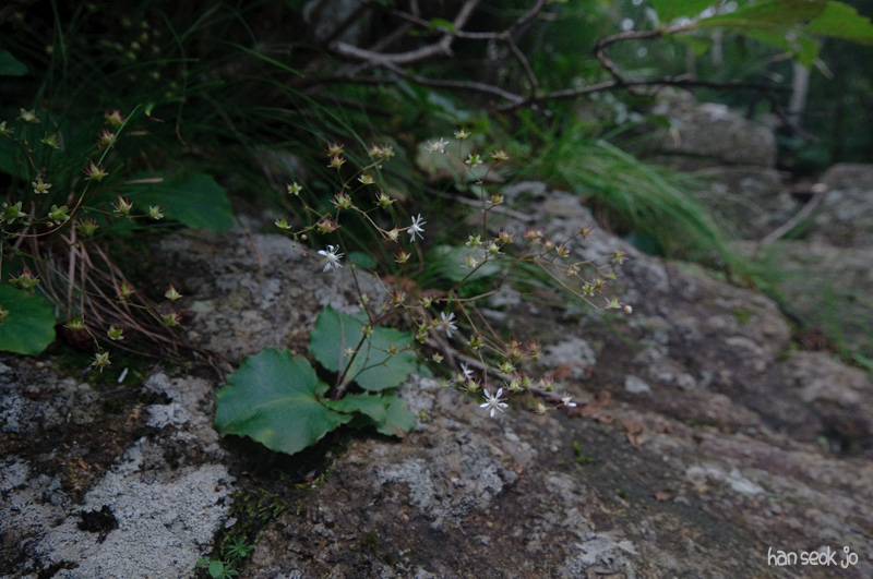 DSC_8165.jpg