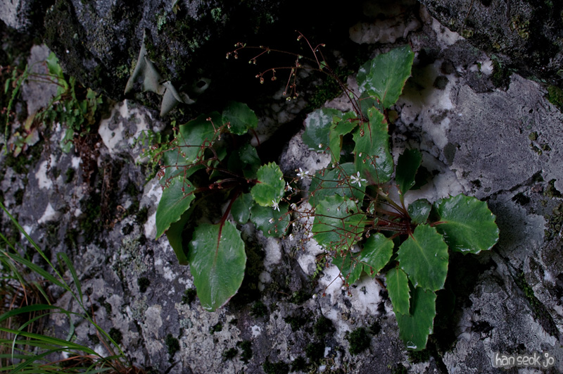 DSC_2639.jpg