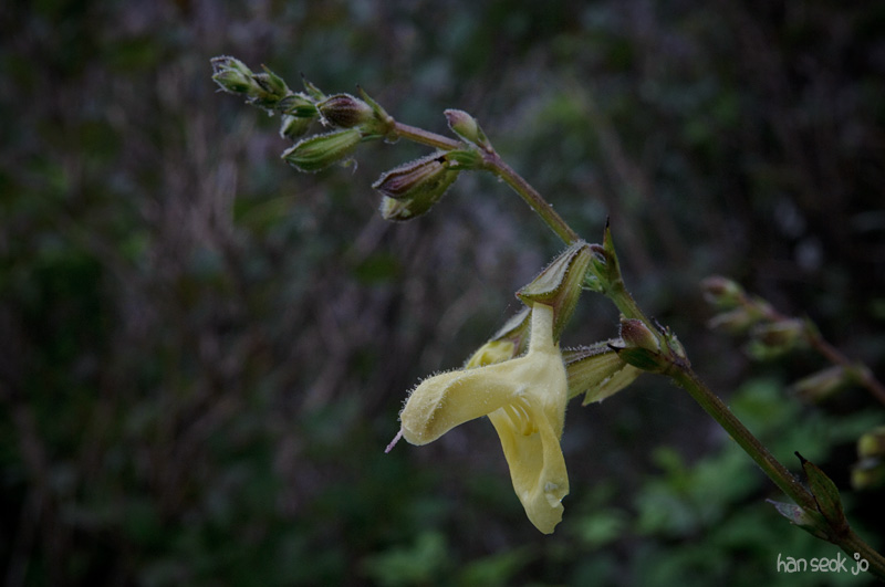 DSC_3463.jpg