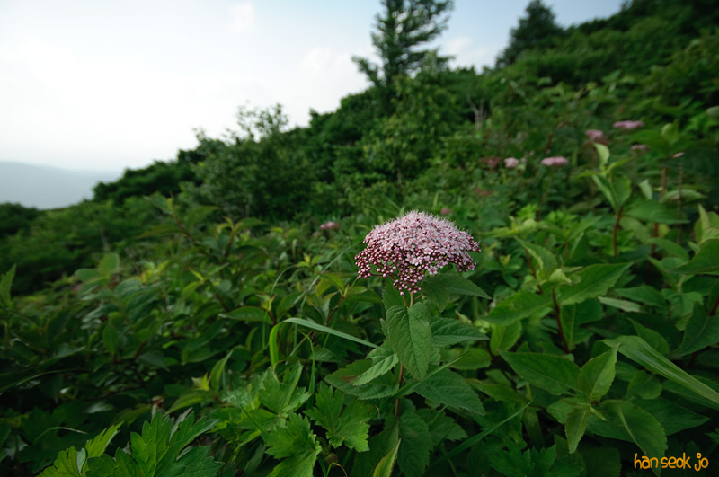 DSC_7280.jpg