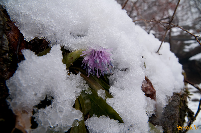 DSC_0497.jpg