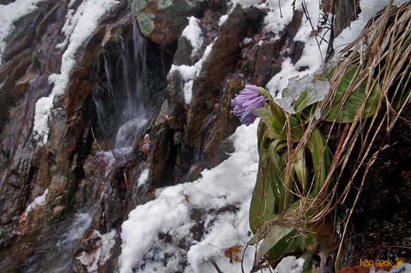 DSC_0519.jpg