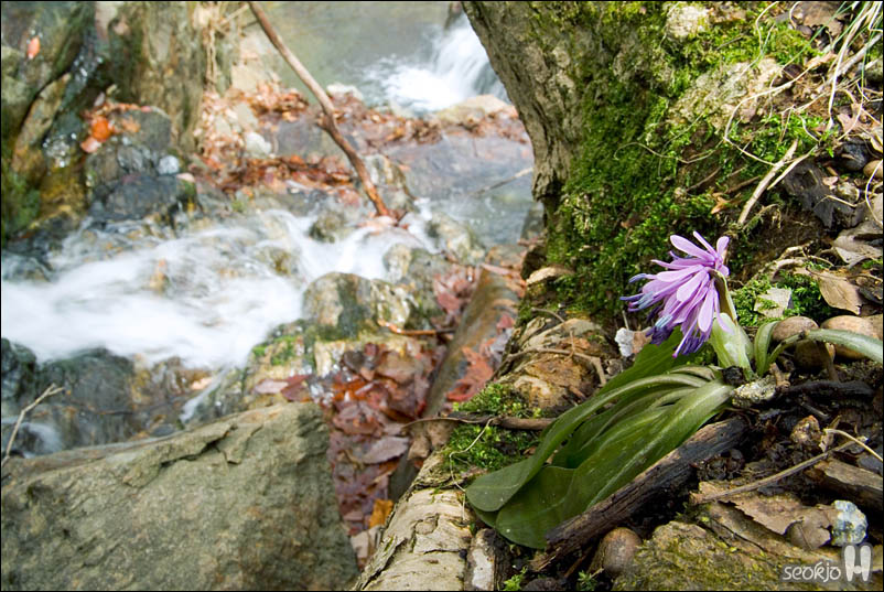 DSCF2990.jpg