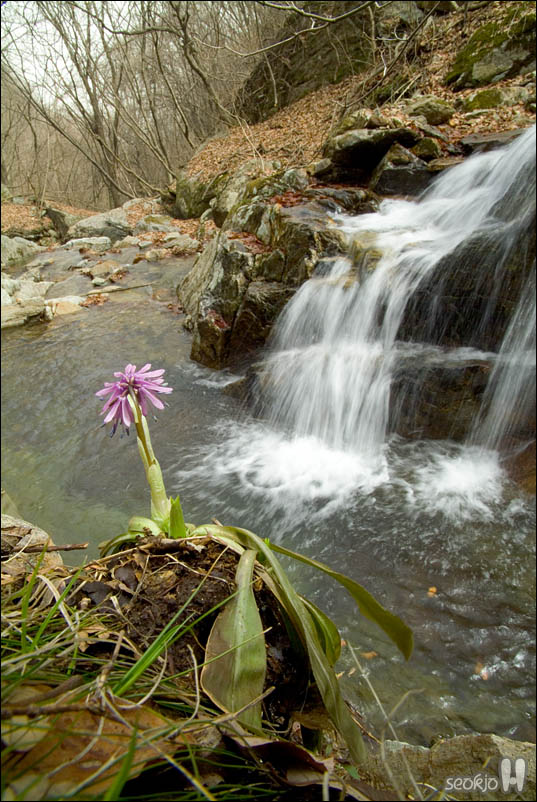 DSCF2997.jpg