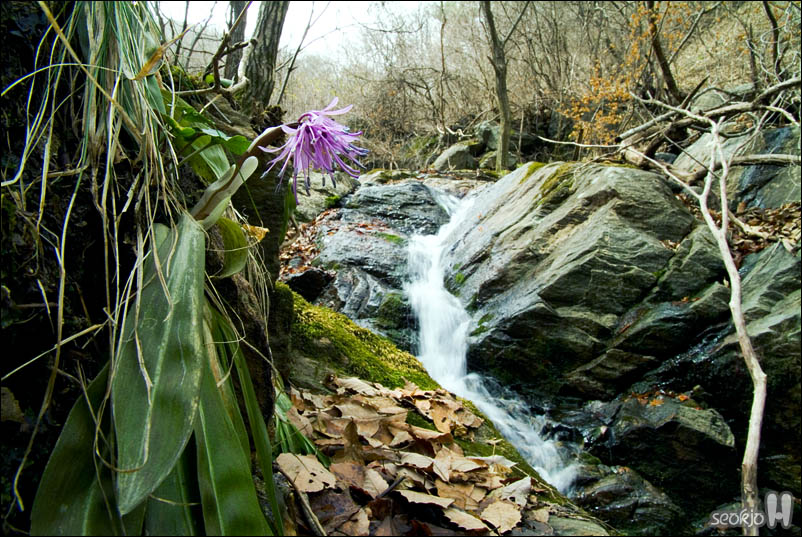 DSCF2994.jpg