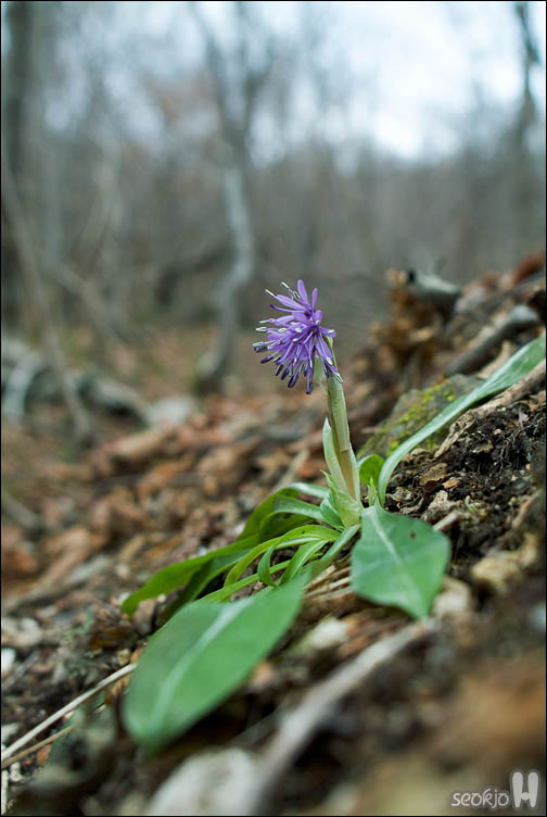 DSCF7130.jpg