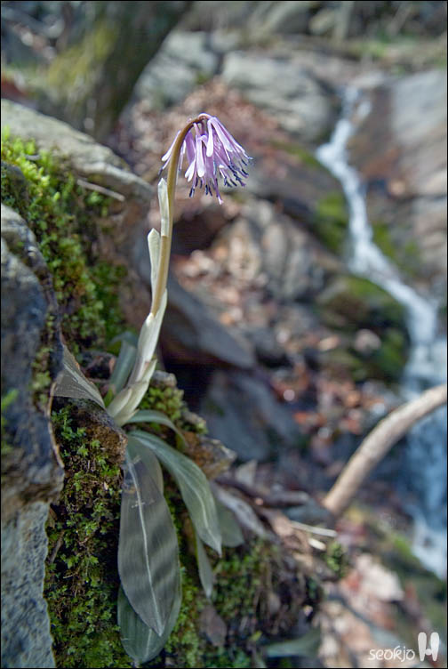 DSCF7492.jpg